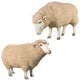 Merino Ewes, Set of 2