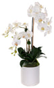 Real Touch Phalaenopsis Orchids, White Cylinder Pot