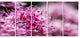 "Bright Pink Little Flowers" Flower Canvas Wall Art, 5 Panels, 60"x28"