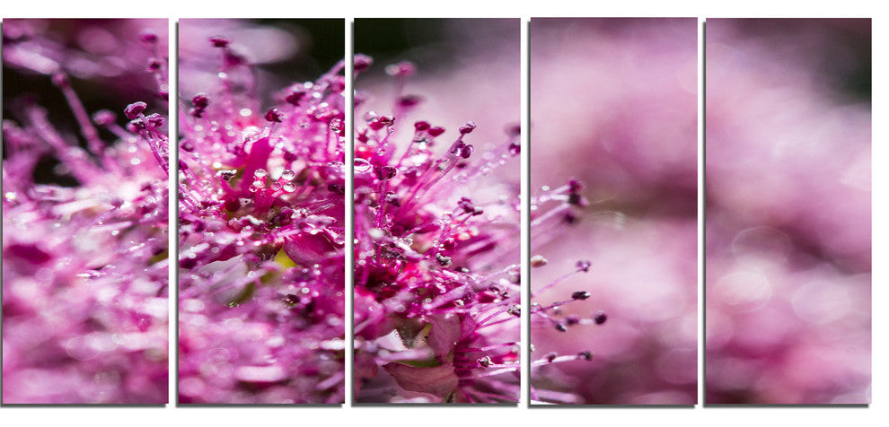 "Bright Pink Little Flowers" Flower Canvas Wall Art, 5 Panels, 60"x28"