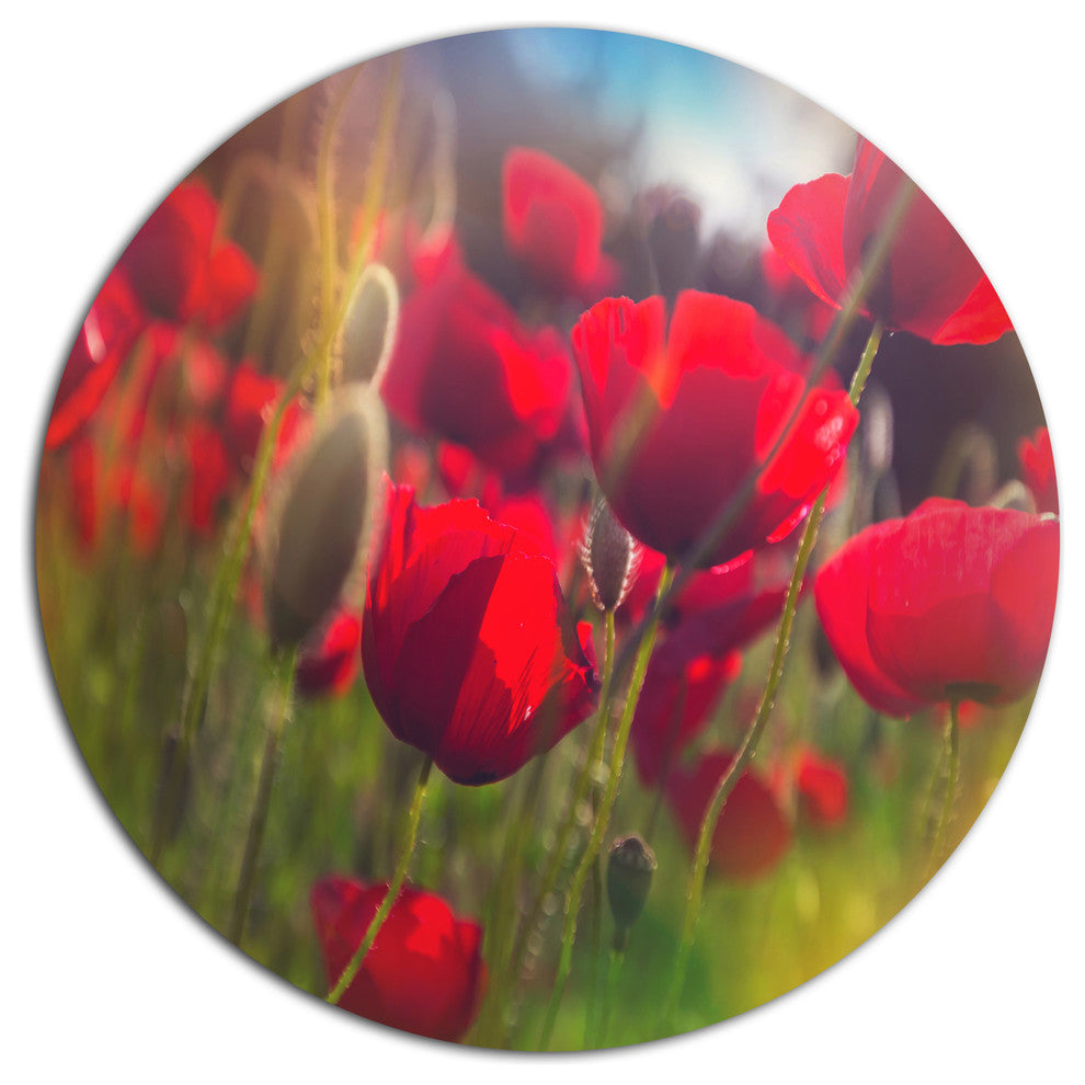 Thick Red Poppy Flowers, Floral Round Wall Art, 23"