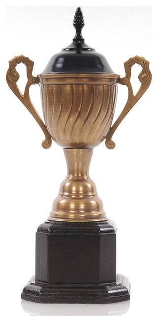 Alum/Wooden Trophy Big Aluminum Home Decor