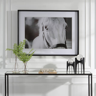 Uttermost Eyes On The Prize Framed print