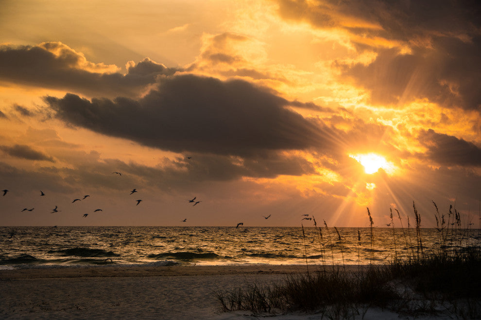 Seaside Themed Wall Art: Anna Maria Island Cloudy Beach Sunset 1 Print, 24" X 36"
