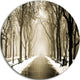 Fog In Alley Vintage Style, Landscape Photo Round Wall Art, 23"