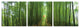 HomeRoots 24" Canvas 3 Panels Forest Color Photo