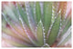 "Dream Desert II" Digital Paper Print by Sue Schlabach, 38"x26"