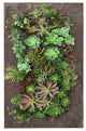 Modern Home Living Wall Galvanized Steel/Zinc Succulent Planter, Wall Mounted G