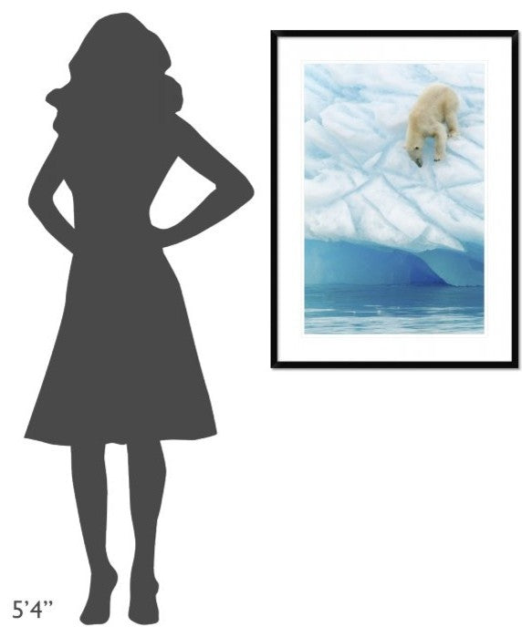"Vertigo" Framed Digital Print by Joan Gil Raga, 28"x38"