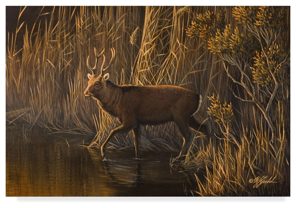 Wilhelm Goebel 'Evening Rounds Sika Deer' Canvas Art, 47"x30"