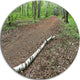 Trunk Of Birch On The Track, Landscape Disc Metal Wall Art, 23"