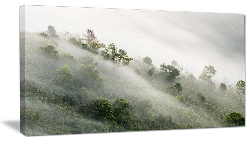 "Mystical Foggy Mountain Slope" Canvas Print, 1 Panel