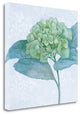 "Blue Hydrangea II" By Beth Grove, Giclee Print on Gallery Wrap Canvas