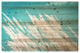 Grassy Wild Pampas Field Wood Plank Wall Art