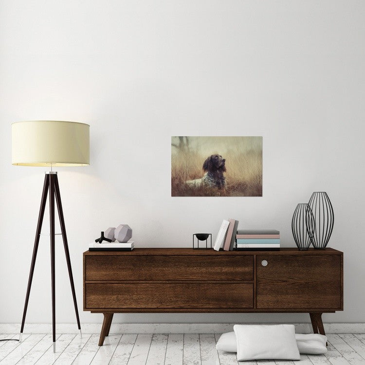 "Beautiful Aragorn" Stretched Canvas Giclee by Heike Willers, 30"x20"