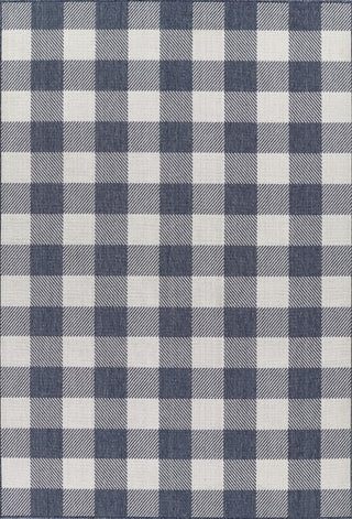 Momeni Baja Denim Area Rug 7'10"x10'10"