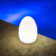 Egg LED Table Lamp