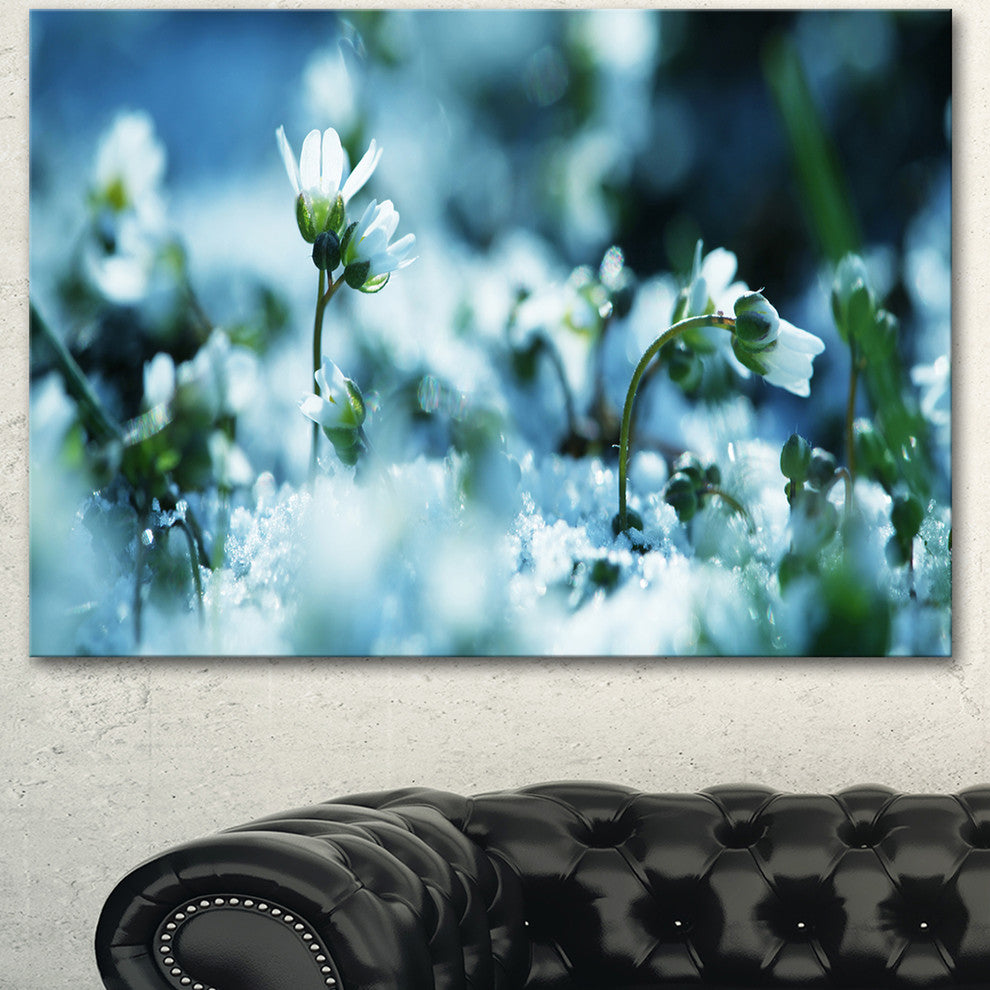 Little White Flowers in Meadow, Large Flower Canvas Wall Art, 40"x30"