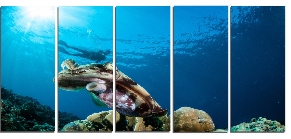 Broadclub Cuttlefish Underwater, Large Seashore Canvas Print, 60"x28", 5 Panels