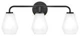 Lark Gio 24" Three-Light Bath Vanity Fixture, Black