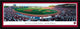 South Carolina Gamecocks Panoramic, Baseball , Select Frame