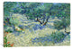 "Olive Orchard" Wrapped Canvas Art Print, 18x12x1.5