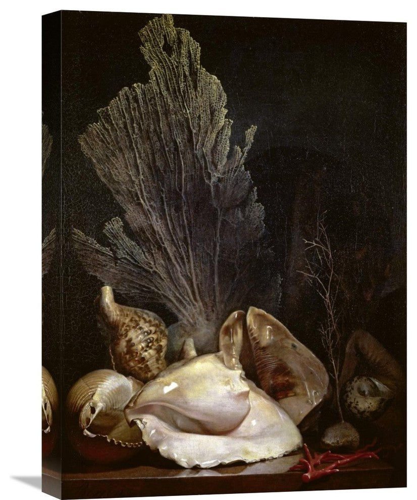 "Coquillages et Madreposes" Artwork, 16"x22"