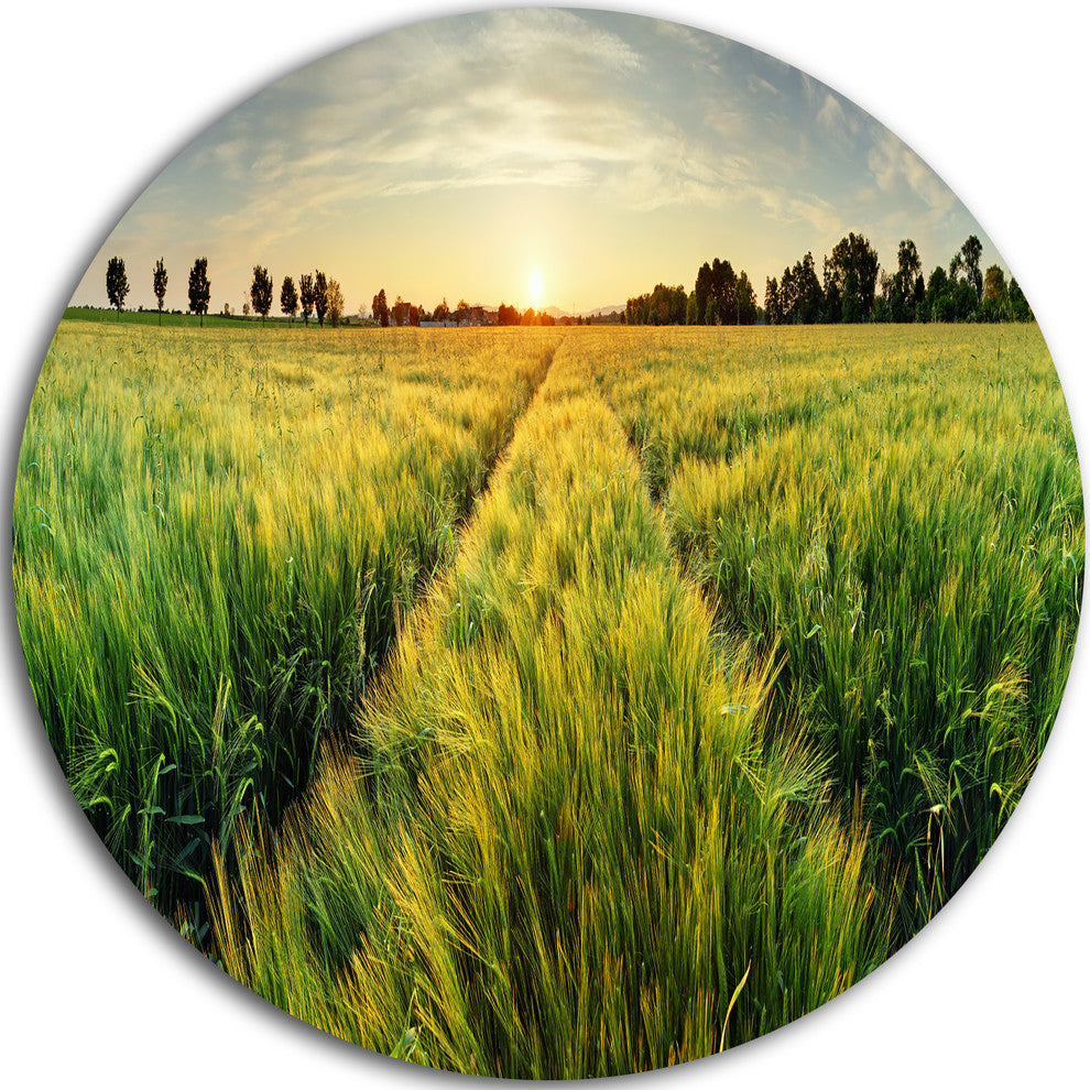 Green Wheat Field At Sunset, Landscape Photo Disc Metal Artwork, 23"