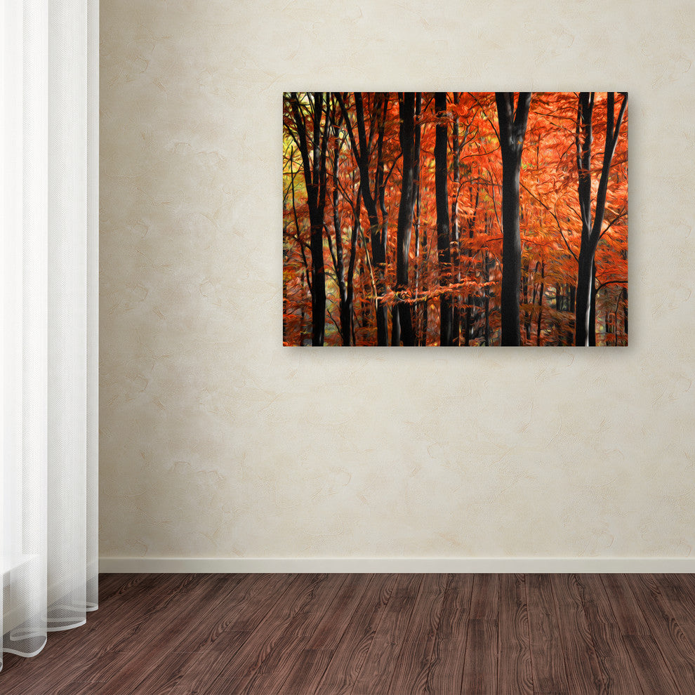 'Indisputable Truth' Canvas Art by Philippe Sainte-Laudy