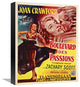 "Belgian - Flamingo Road" Canvas by Hollywood Photo Archive, 13x16"