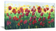 "Wild Red Poppies Field Panorama" Modern Landscape Wall Art Canvas, 40"x20"