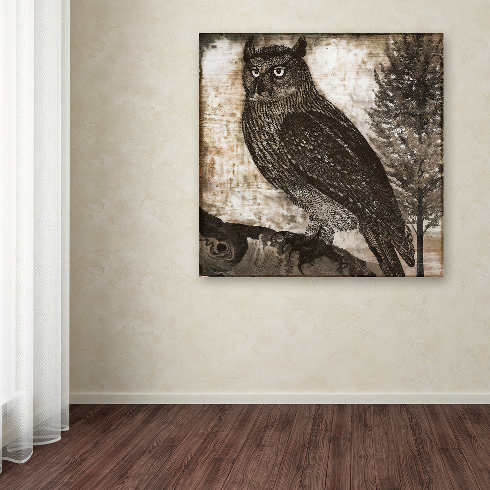 Color Bakery 'Owl 2' Canvas Art, 24"x24"