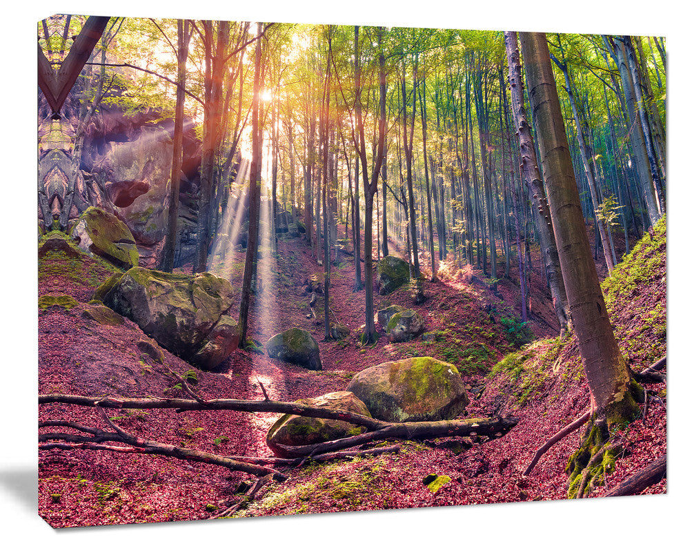 Autumn Morning in Mystical Woods, Large Landscape Canvas Art Print, 60"x28"