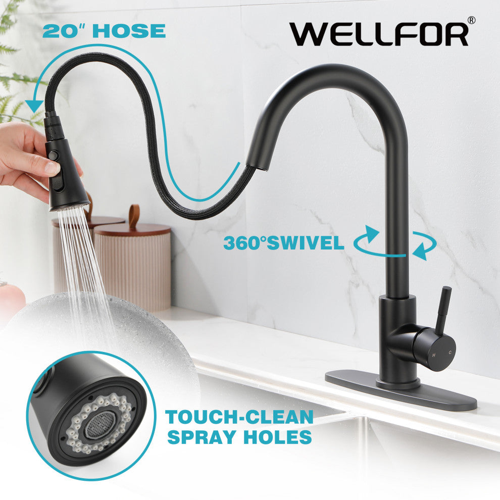 Wellfor Stainless Steel Kitchen Sink Faucet with Pull Down Spray, Matte Black