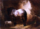 Wouterus Verschuur A Horse in a a Stable - 21" x 28" Premium Canvas Print