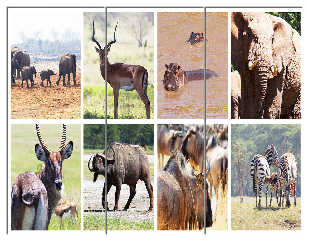 Rich African Wildlife Collage, Animal Art Painting, 36x28, 3 Panels