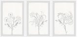 Plant Dreams Triptych, Set of 3, 24x36 Panels