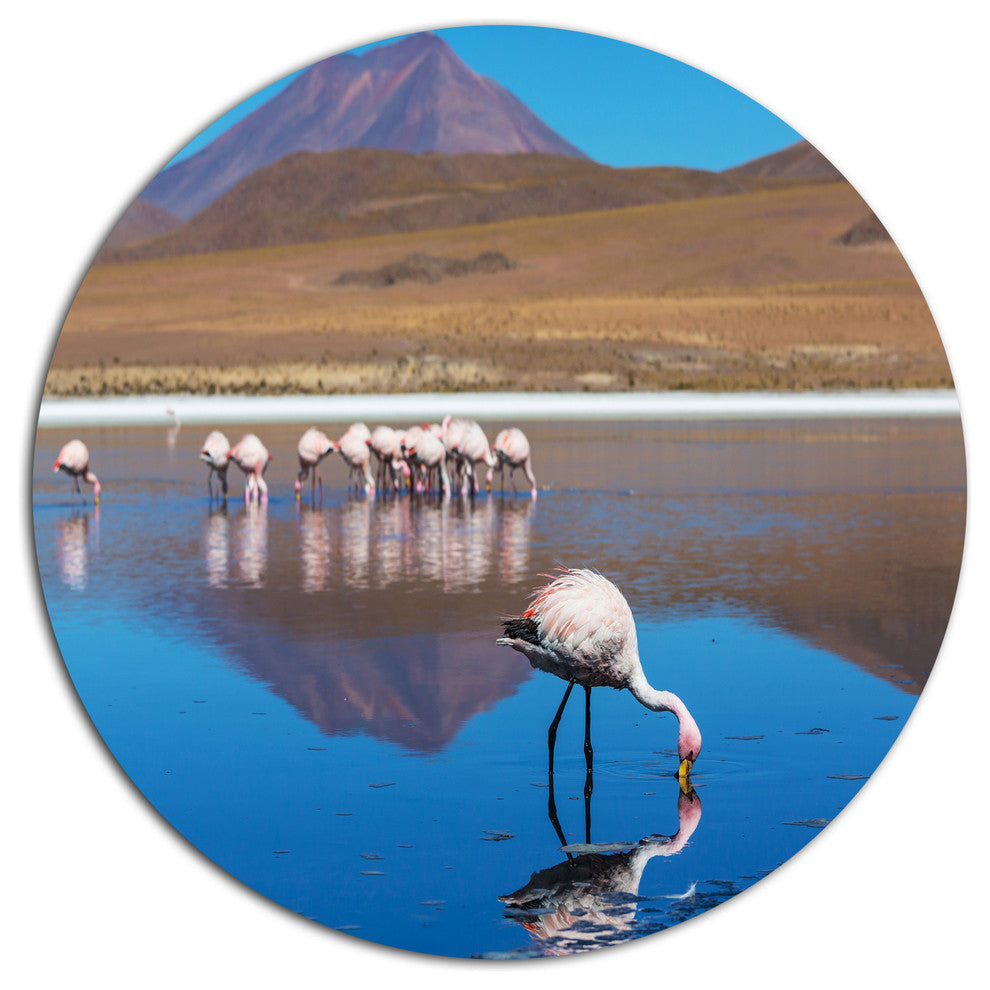 Beautiful Flamingos In Bolivia, African Landscape Round Wall Art, 11"