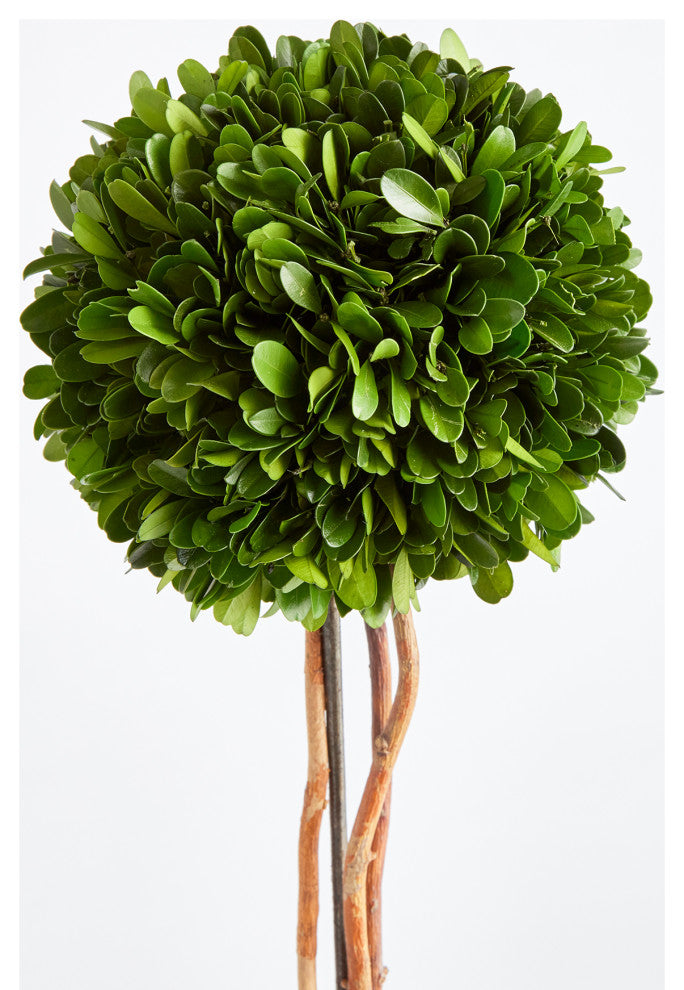 Boxwood Single Sphere Topiary Drop-In, 24"