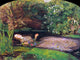 Sir Everett Millais Ophelia, Gallery Wrapped Canvas Print, 21"x28"