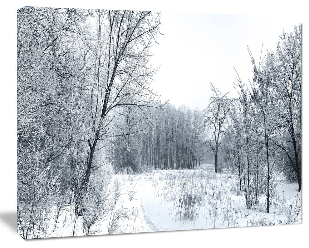 Beautiful Winter Panorama, Landscape Canvas Art Print, 60"x28"