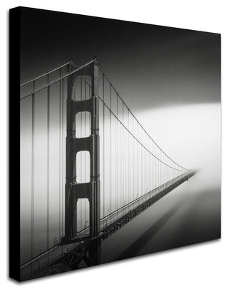 'Into The Mystic' Canvas Art by Dave MacVicar