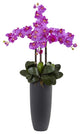 Phalaenopsis Orchid Arrangement With Bullet Planter