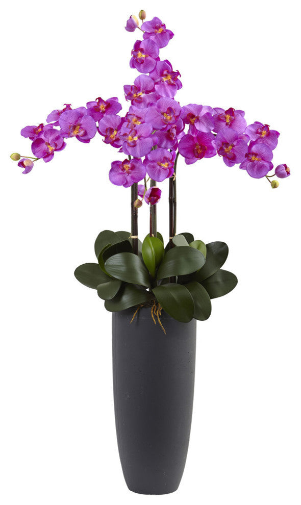 Phalaenopsis Orchid Arrangement With Bullet Planter
