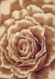 HomeRoots 7' x 10' Polypropylene Ivory Area Rug