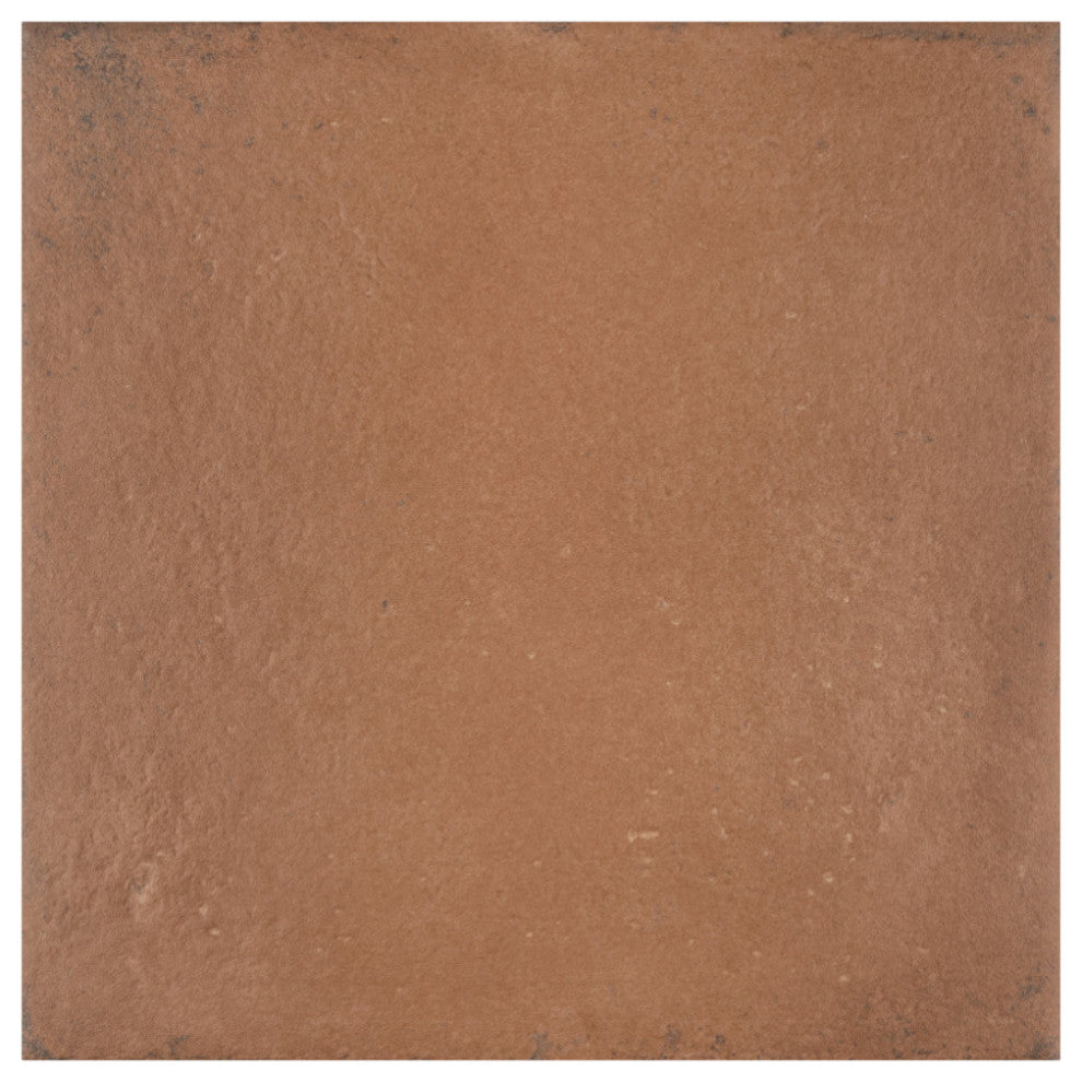 Amaia 11-7/8" x 11-7/8" Porcelain Floor and Wall Tile