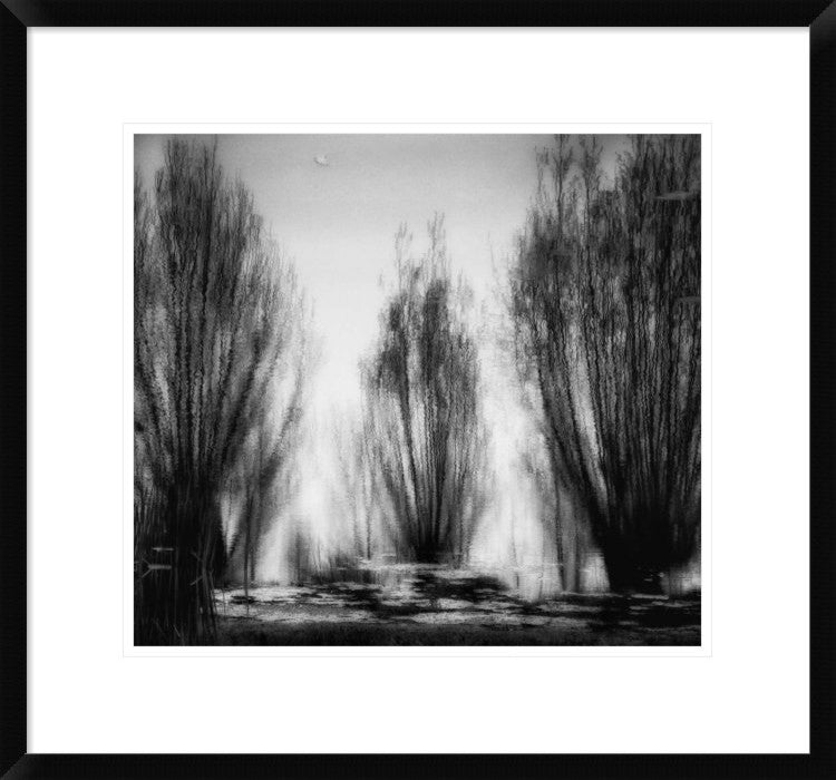 "One May Day" Framed Digital Print by Yvette Depaepe, 24x22"