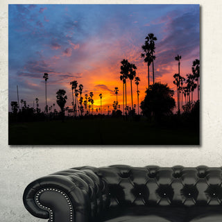 Sugar Palm Tree Silhouette, Landscape Canvas Art Print, 40"x30"