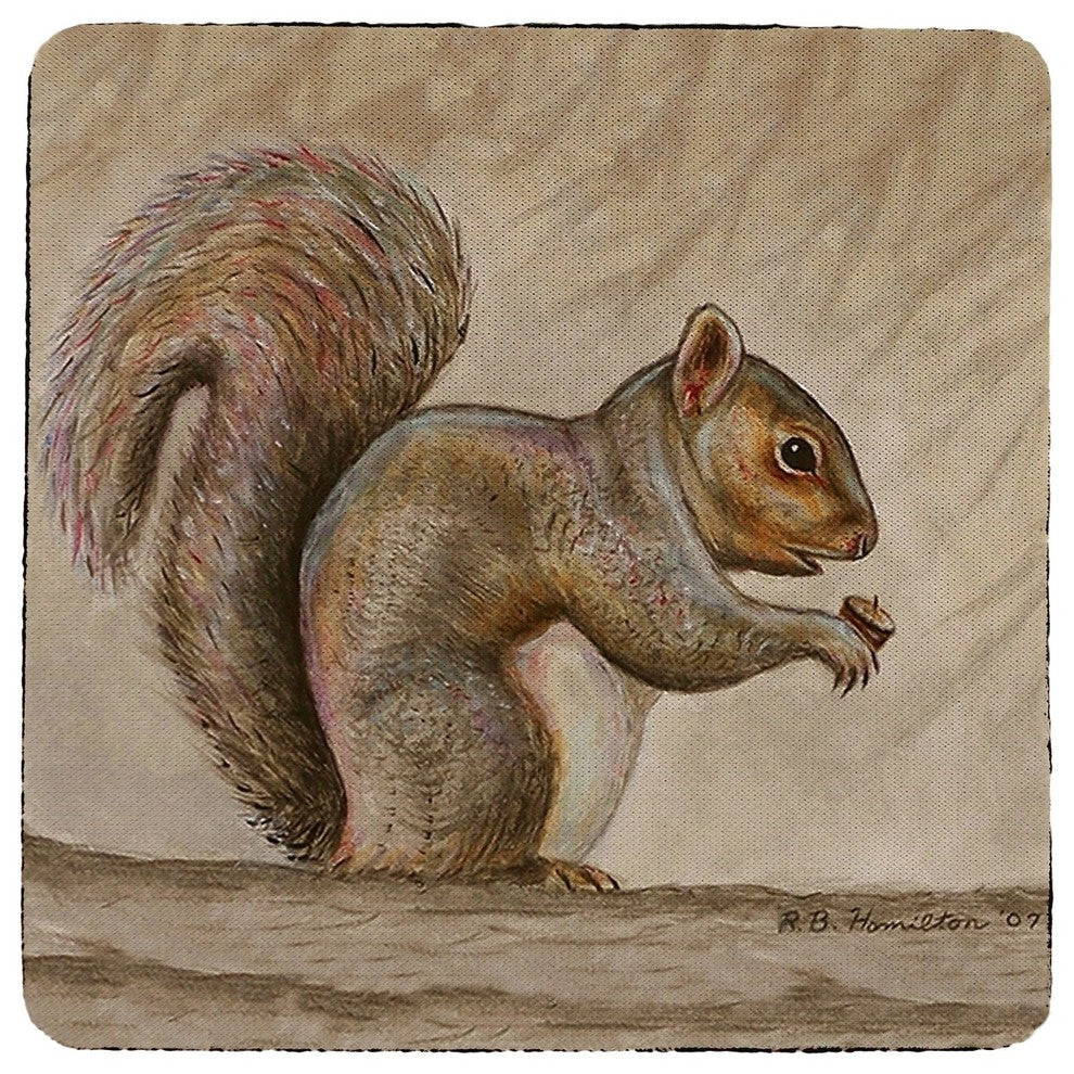 Squirrel Coaster - 3 Sets of 4 (12 Total)