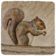 Squirrel Coaster - 3 Sets of 4 (12 Total)